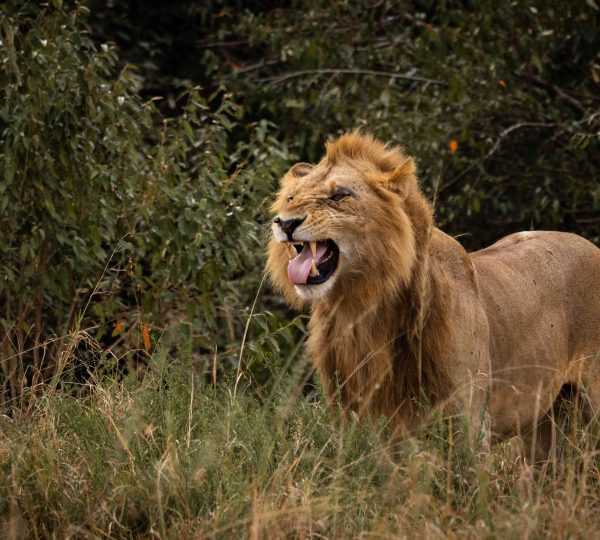 Day Trip to Saadani National Park