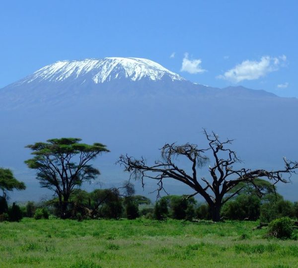 7 days Mount Kilimanjaro Climbing